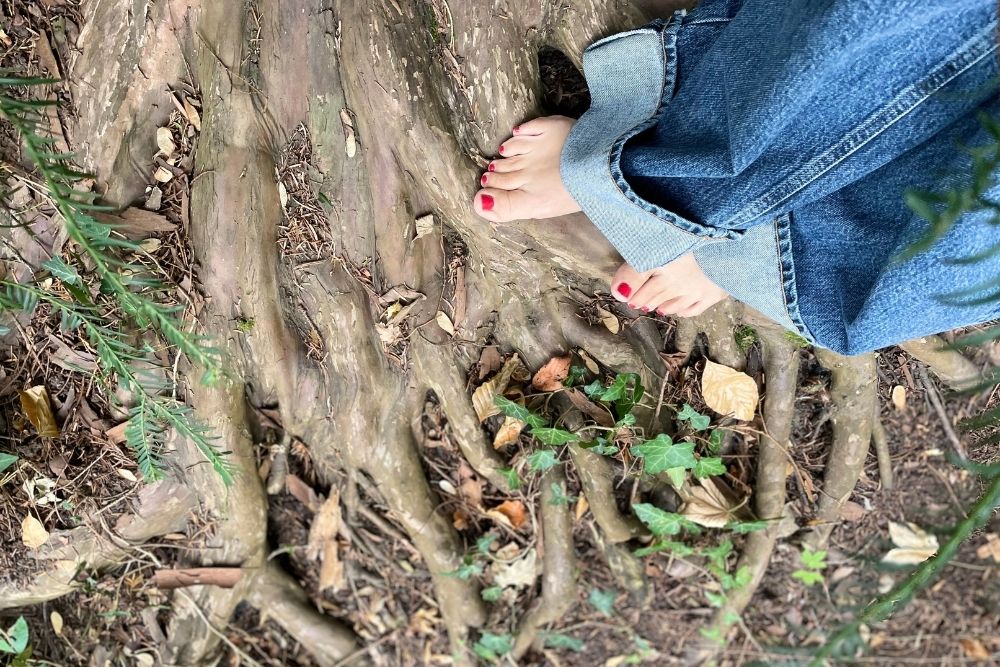 Erdung im Alltag Erdung