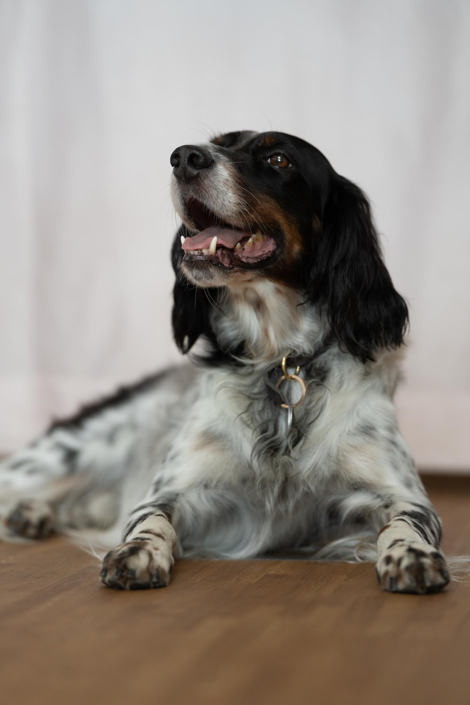 Portrait von Tobias Bähner